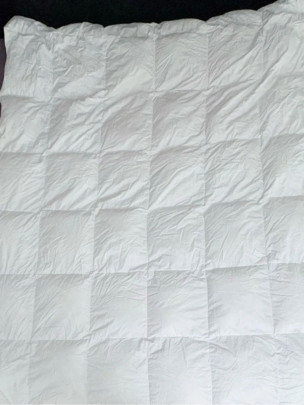 Serta Twin Size  Goose Down Feather Comforter Duvet Insert 100% Cotton White